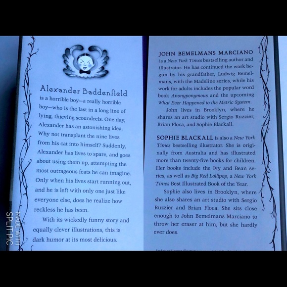 NEW Hardcover The Nine Lives of Alexander Baddenfield - Picture 5 of 14